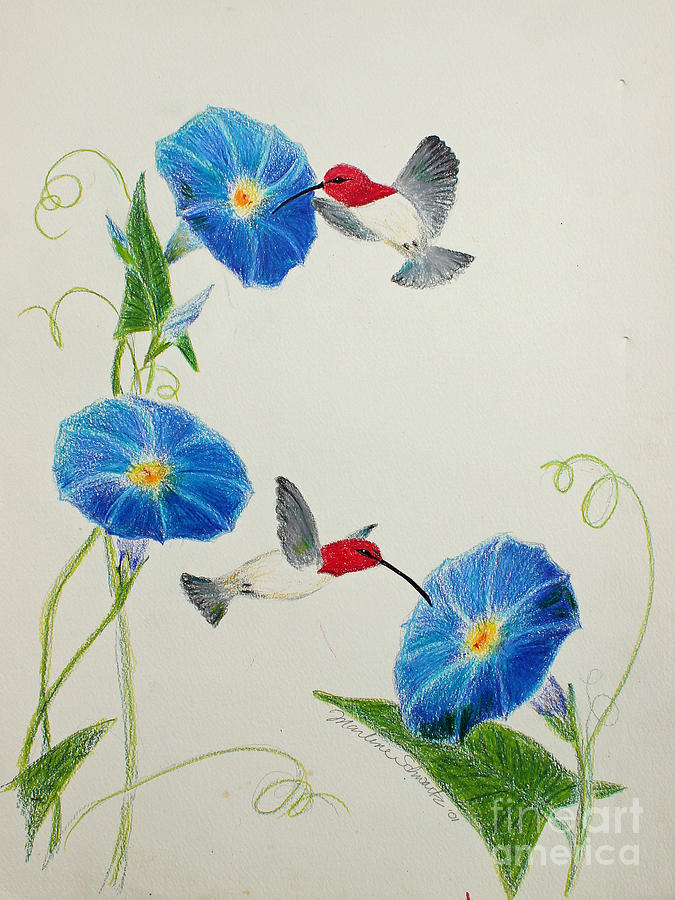 Anna's Hummingbirds Painting - Sip, Sip by Marlene Schwartz Massey