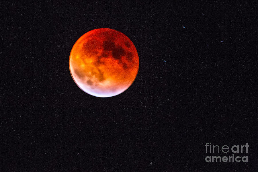 Super Moon Eclipse 2 Photograph by Robert Bales