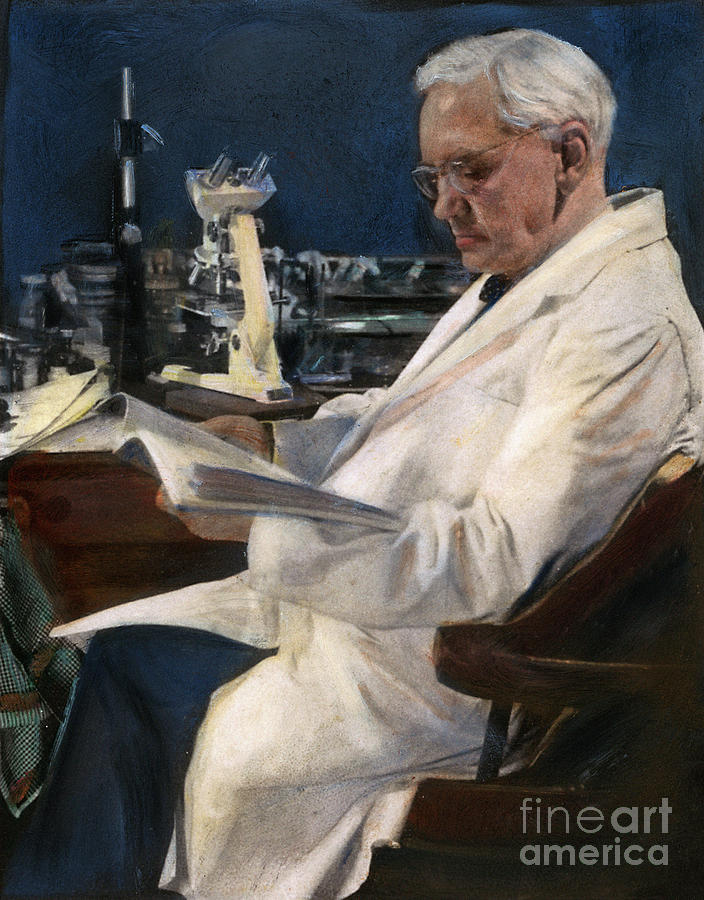 Alexander Fleming  Person sketch Male sketch Portrait