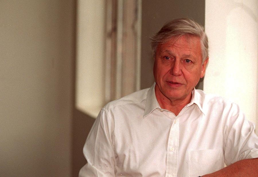Photographer Photograph - Sir David Attenborough by Jez C Self Photographer Photograph - Sir David Attenborough by Jez C Self