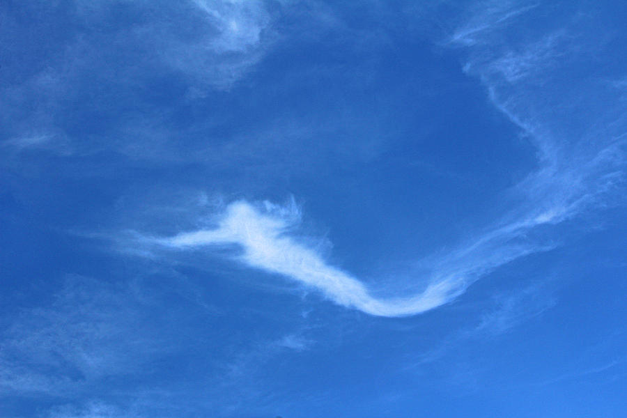 Siren In Sky Photograph by Viktor Savchenko