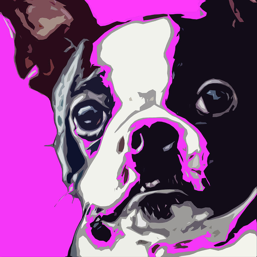 Sissy Pup Digital Art by David G Paul