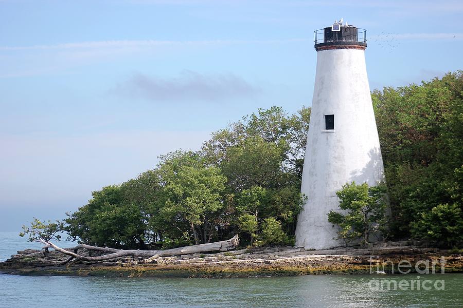 Sister Island Lighthouse Photograph by Alice Terrill