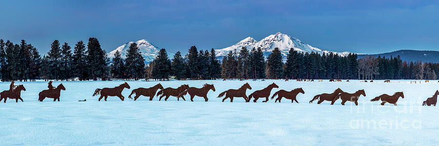 Sisters Horses Panorama Photograph