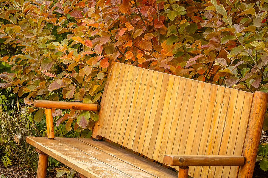 Sit a Spell on my Bench Photograph by Joni Eskridge