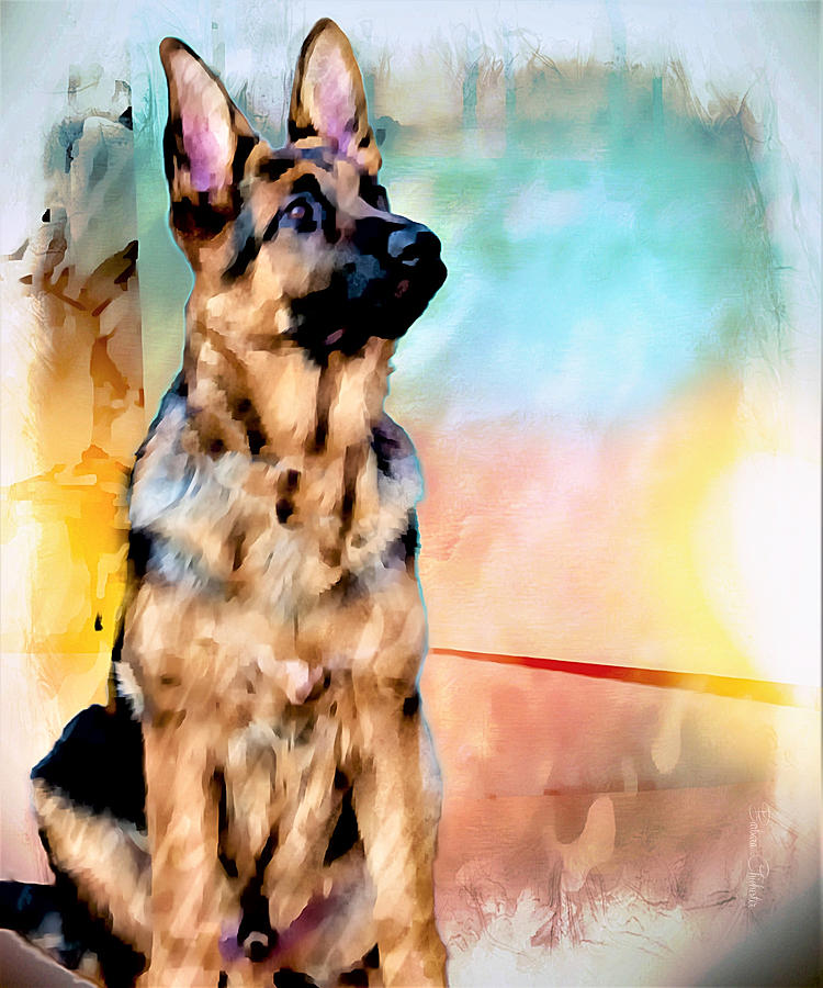 Sit Stay German Shepherd  Painting by Barbara Chichester