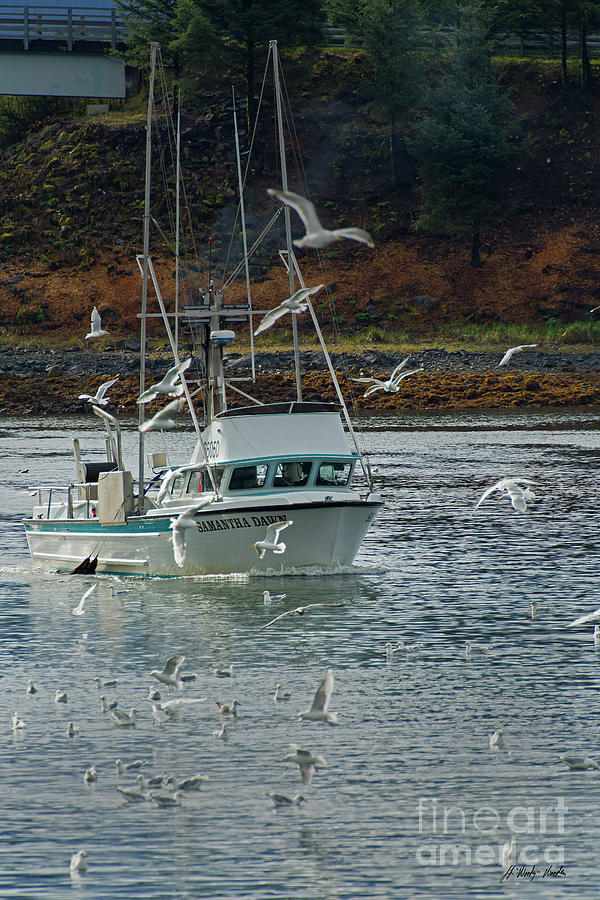Sitka Harbor-Signed-#2792 Photograph by J L Woody Wooden