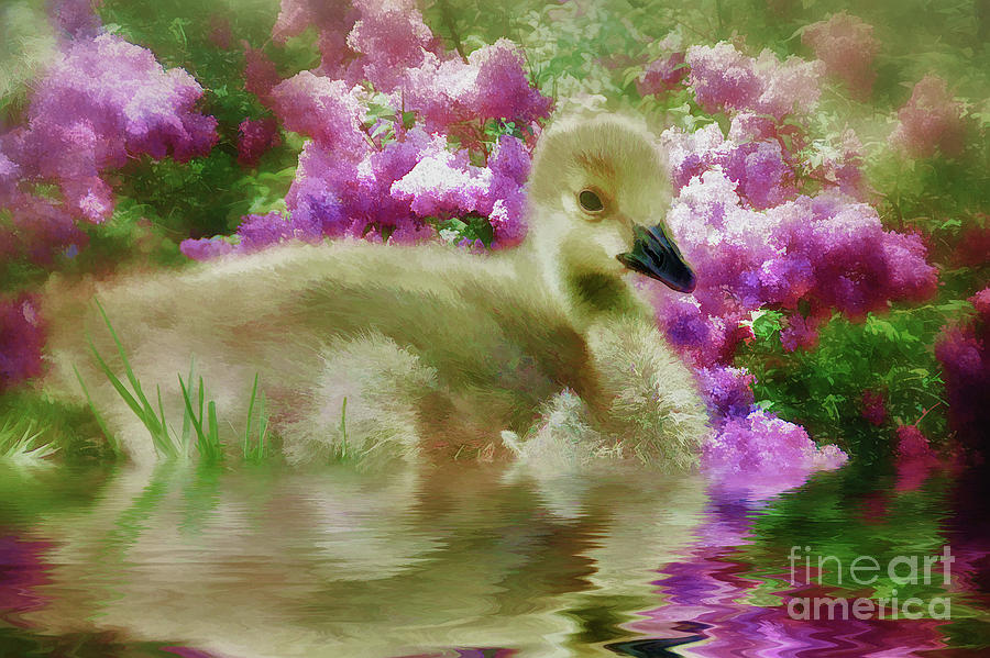 Goose Painting - Sitting Among the Lilacs by Elaine Manley