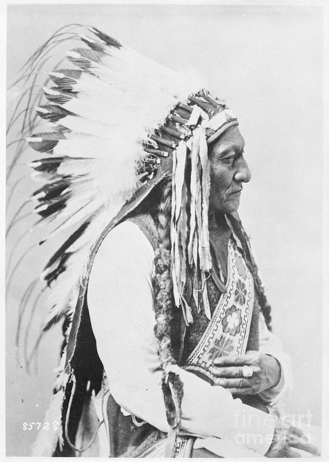 Sitting Bull 1885 Painting by Celestial Images