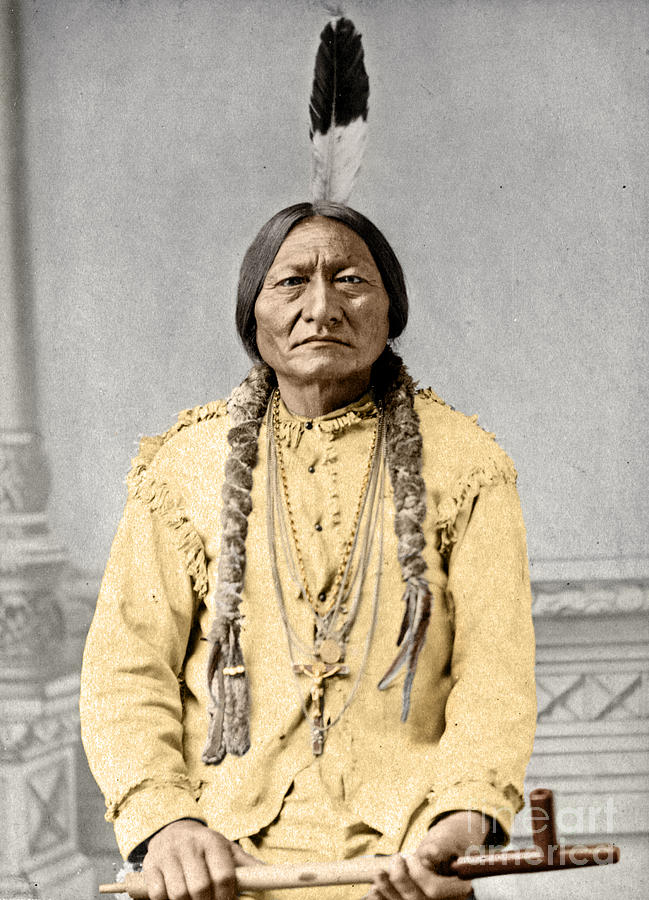 Eagle Photograph - Sitting Bull by Granger