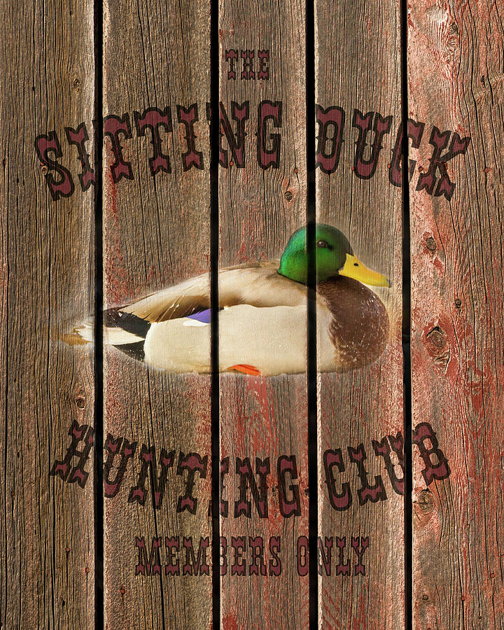 Sitting Duck Hunting Club Photograph by TL Mair