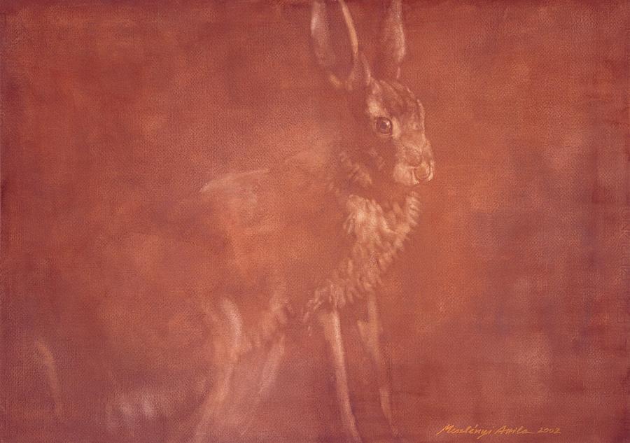 Sitting Hare Painting by Attila Meszlenyi