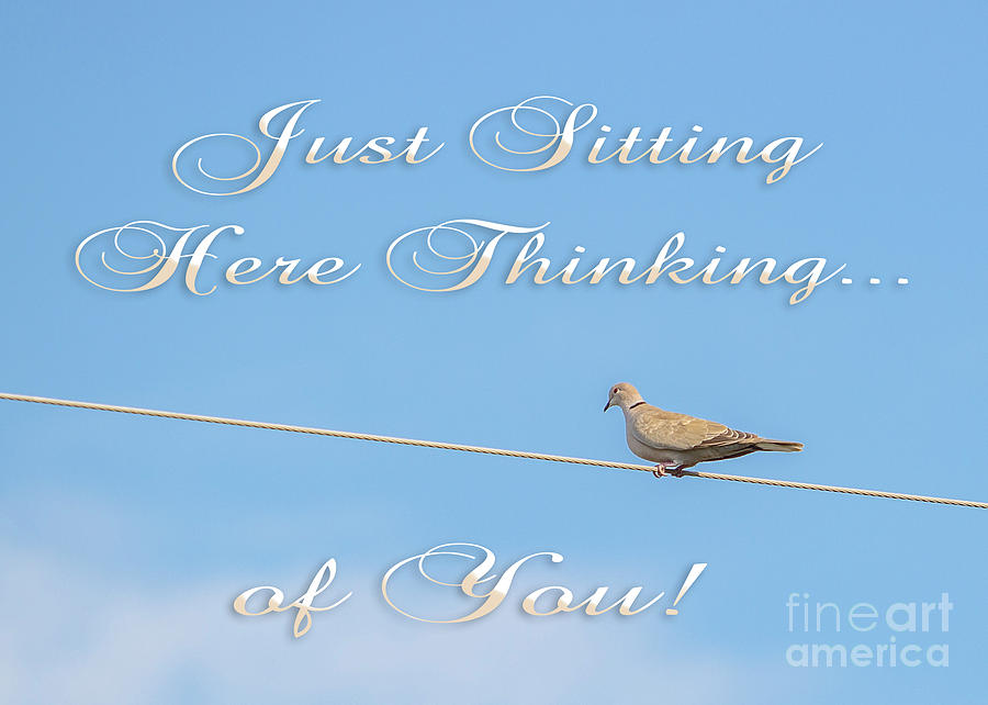Sitting Here Thinking of You by Mechala Matthews Sitting Here Thinking of You by Mechala Matthews