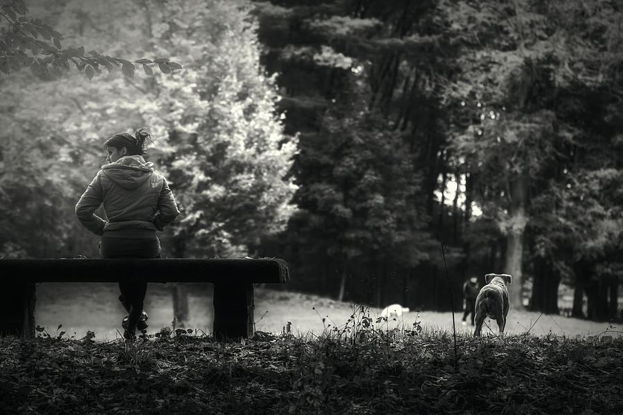 Sitting on the bench Photograph by Roberto Pagani