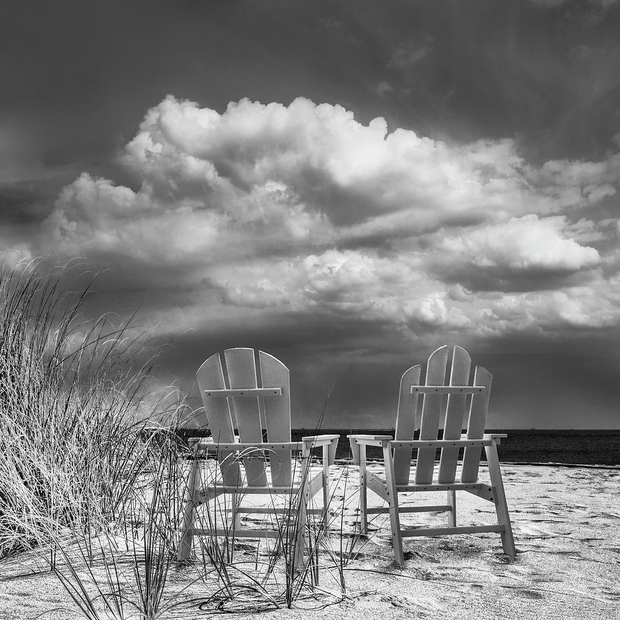 Sitting Pretty in Black and White Photograph by Debra and Dave Vanderlaan