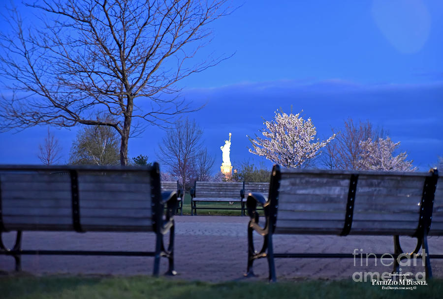 Sitting with Lady Liberty in the park Photograph by PatriZio M Busnel