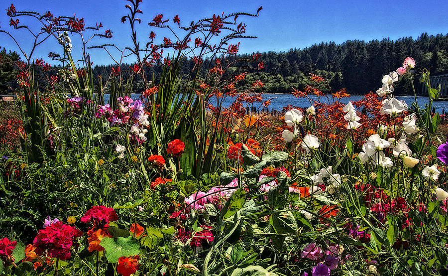 Siuslaw River Floral Photograph by Thom Zehrfeld