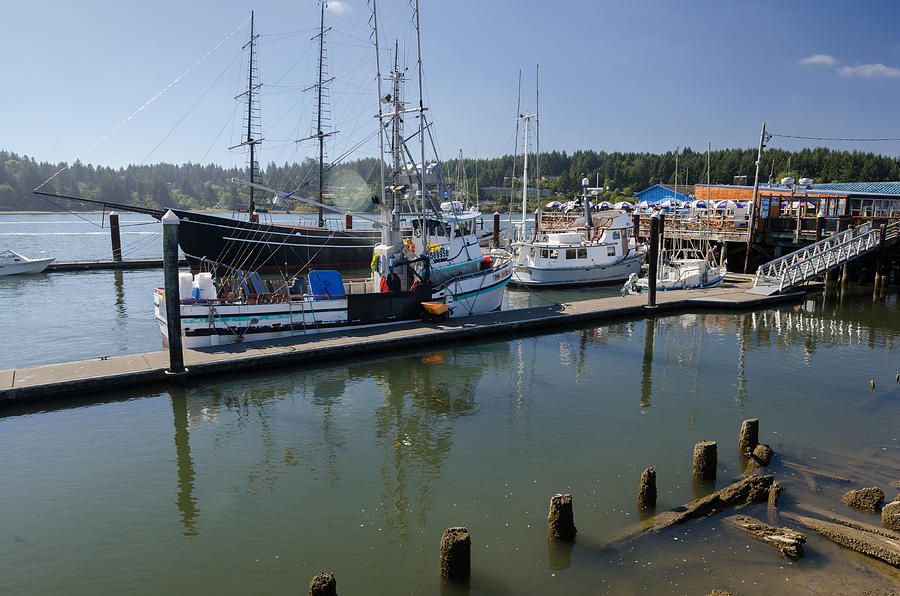 Siuslaw Marina Photograph by Margaret Pitcher