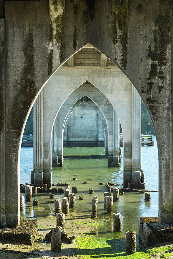 Siuslaw River Bridge Photograph by Rosemary Howard - Fine Art America