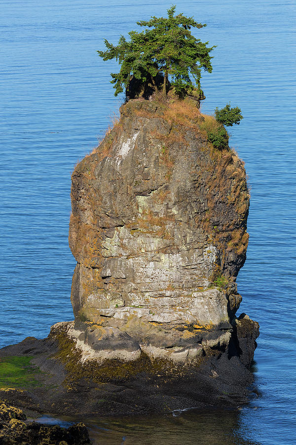 Siwash Rock by Stanley Park Photograph by David Gn