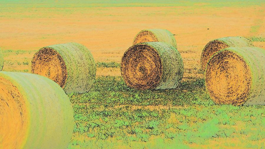 Six Bales 7409 Photograph by Jerry Sodorff