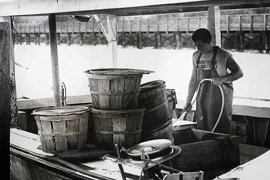 Six Bushels Photograph by Sheryl Bergman