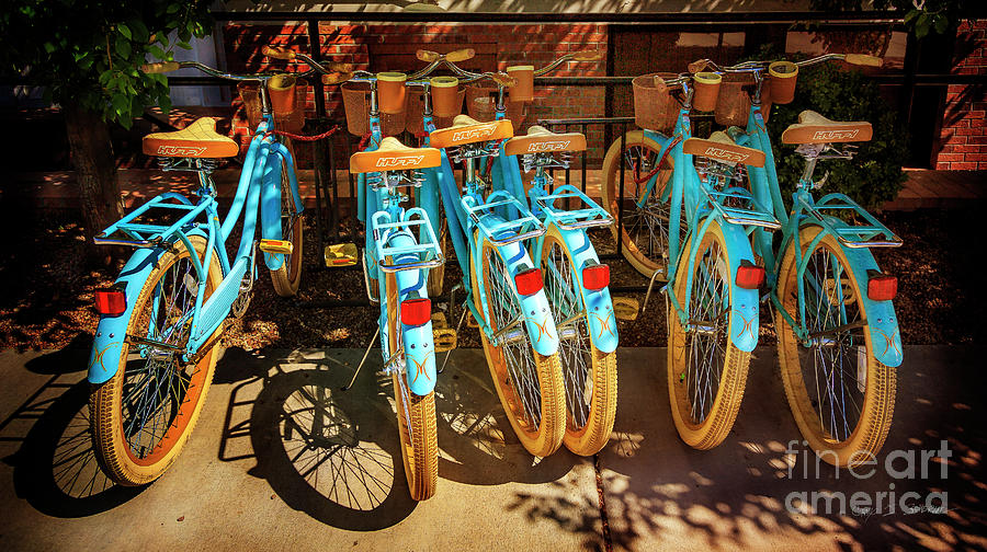 Six Huffy Bicycles Photograph by Craig J Satterlee