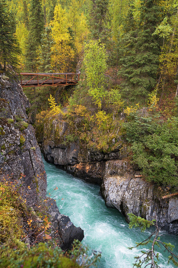 Six Mile Creek Alaska Photograph by Scott Slone