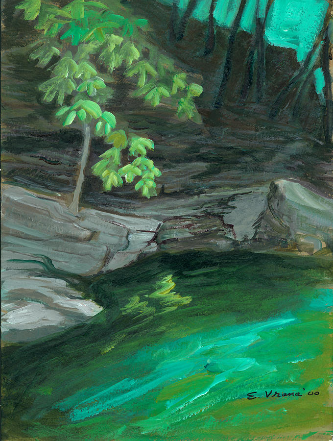 Creek Painting - Six Mile Creek Ithaca New York by Ethel Vrana