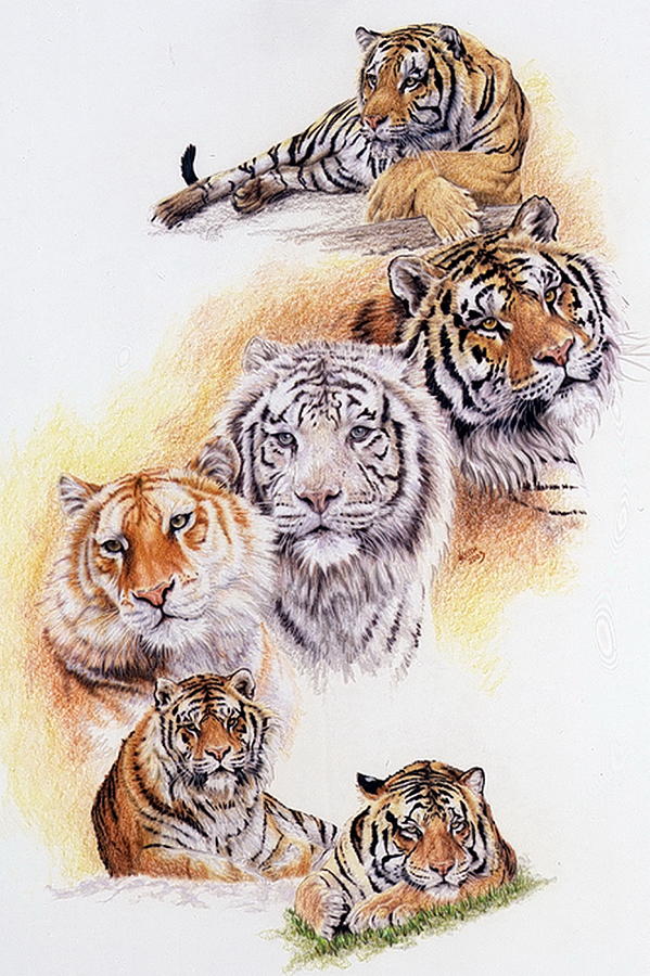 Six Pack Drawing by Barbara Keith