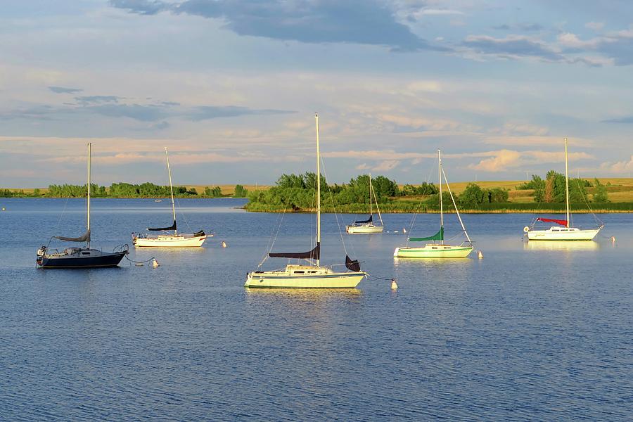 Six Sailboats Photograph by Connor Beekman