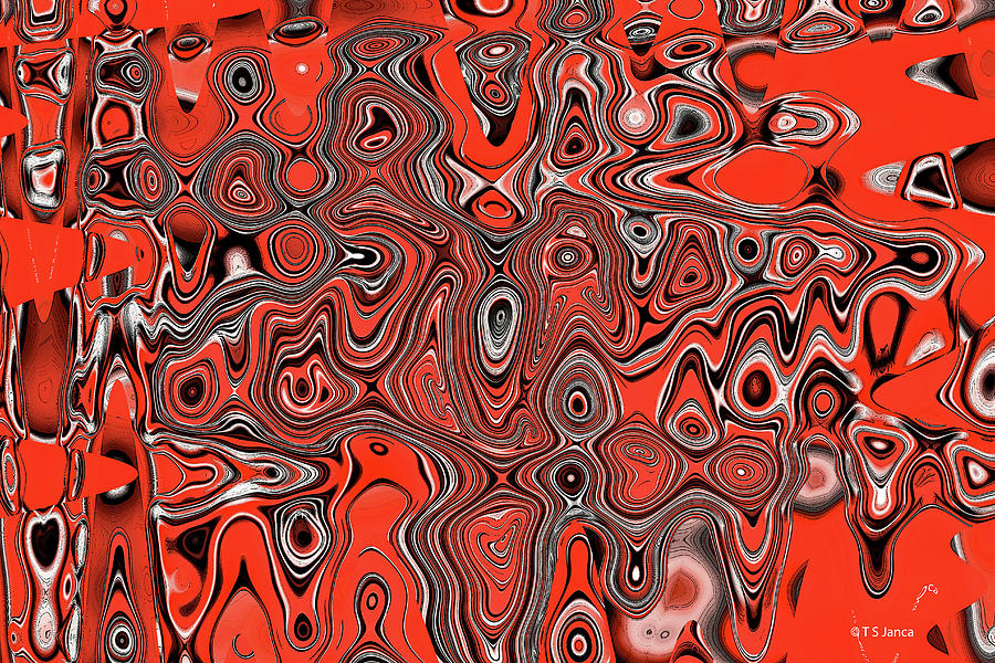 Six Tomatoes Abstract #3 Digital Art by Tom Janca