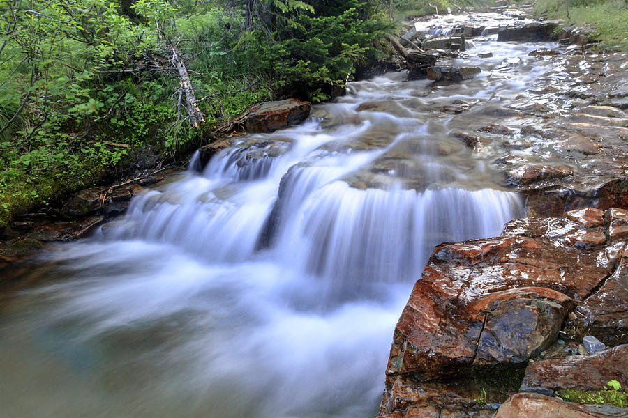 Siyeh Creek Photograph by Jack Bell