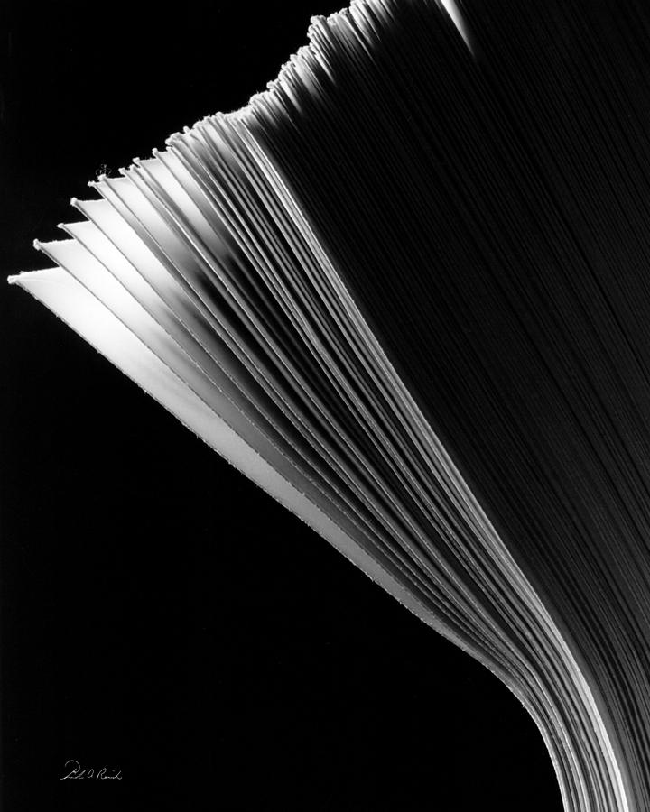 Size Ten Envelopes Photograph by Frederic A Reinecke