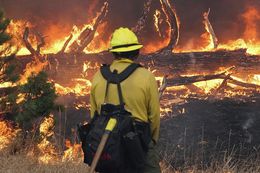 Legion Lake Fire by Bill Gabbert Legion Lake Fire by Bill Gabbert