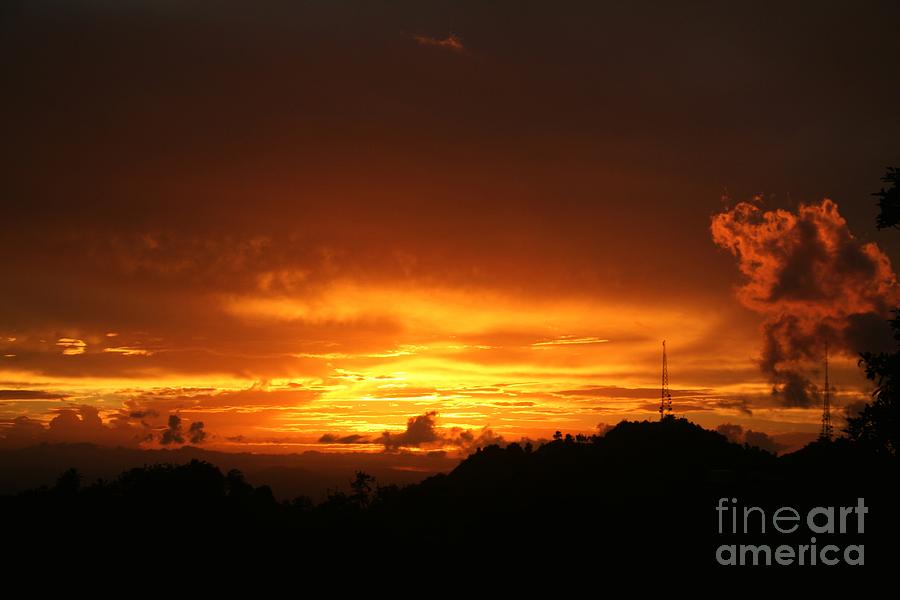 Sizzling Sunset Photograph by Alice Terrill