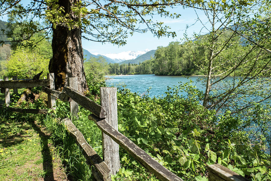 Skagit River Fence Post Photograph by Tom Cochran