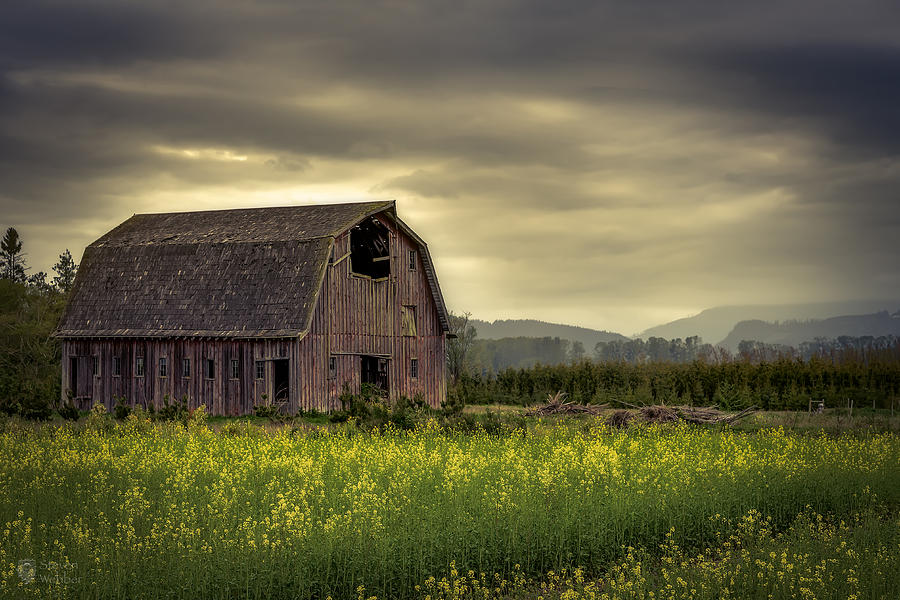 Skagit Valley Barn Photograph by Steven Webber - Pixels