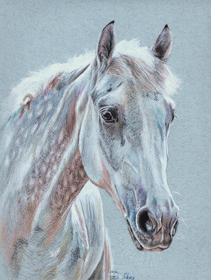 Horse Drawing - Skay by Kateryna Bielikova