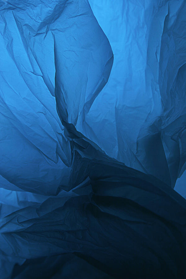 SKC 0250 Sensuous Curves in Blue Photograph by Sunil Kapadia