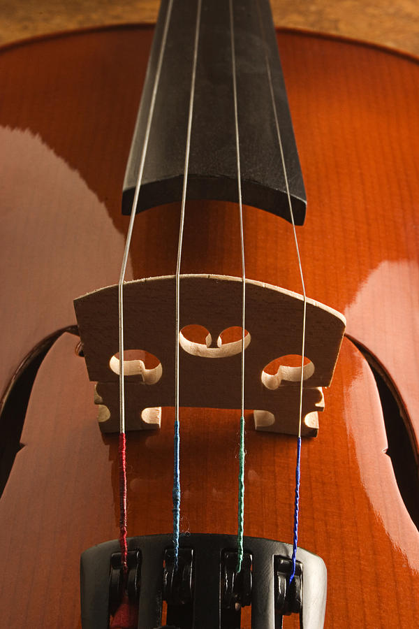 SKC 0954 Music of Four Strings Photograph by Sunil Kapadia