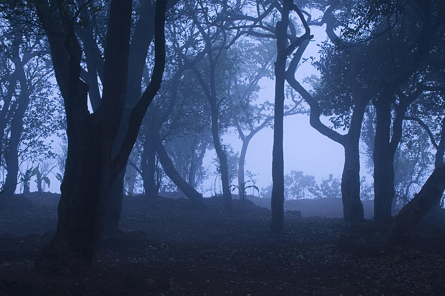 SKC 1514 Mystery of Fog Photograph by Sunil Kapadia
