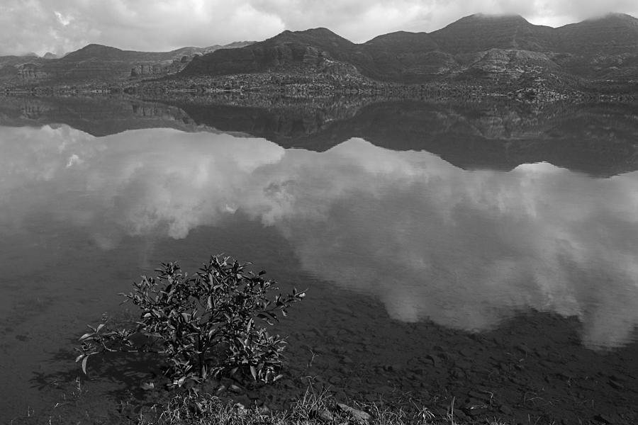 SKC 3981 Natures Mirror. Photograph by Sunil Kapadia