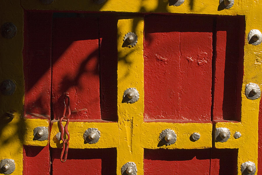 SKC 8773 Old Door with a New Paint Photograph by Sunil Kapadia