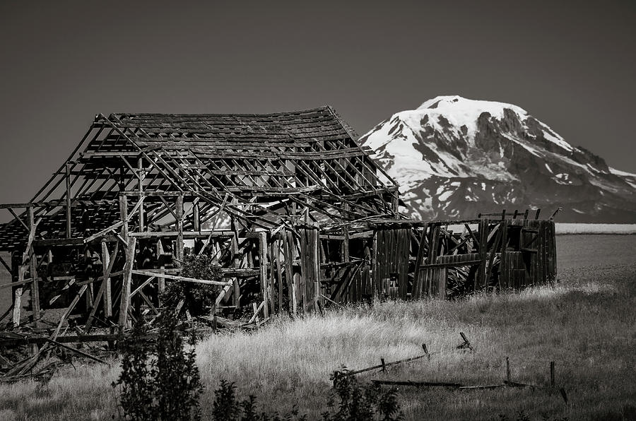Skeletal barn and Mt Adams Photograph by John Trax