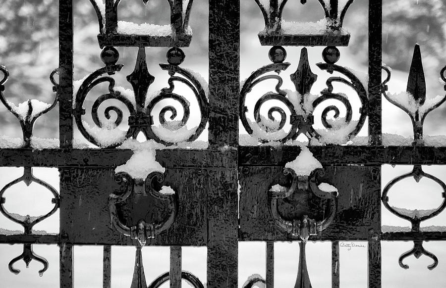 Skeleton Photograph - Skeletal Twins in Winter - Gates by Betty Denise