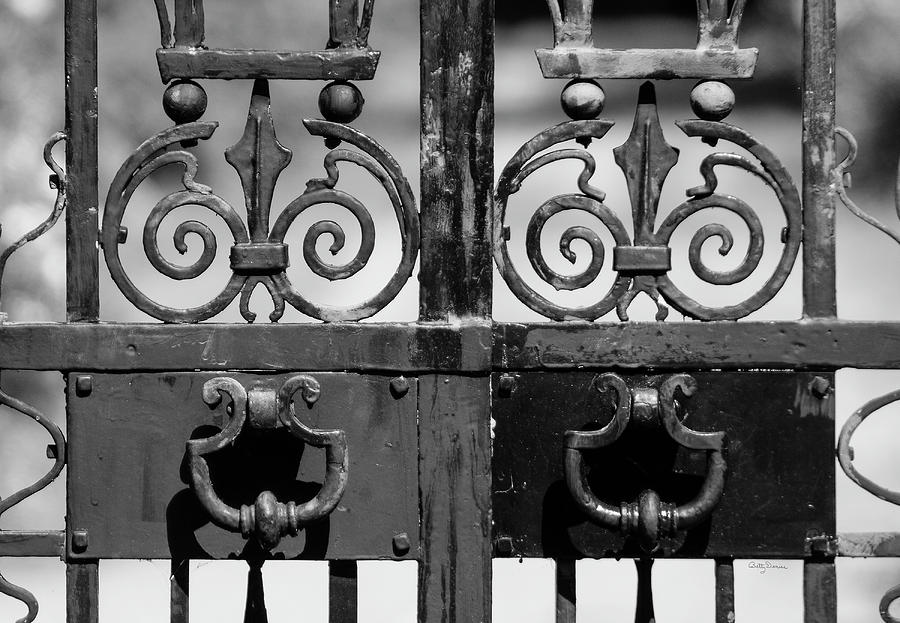 Black And White Photograph - Skeletal Twins Metal Estate Gate by Betty Denise