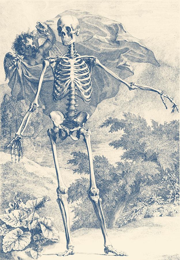 Skeleton and Angel in the Wilderness Drawing by Vintage Anatomy Prints