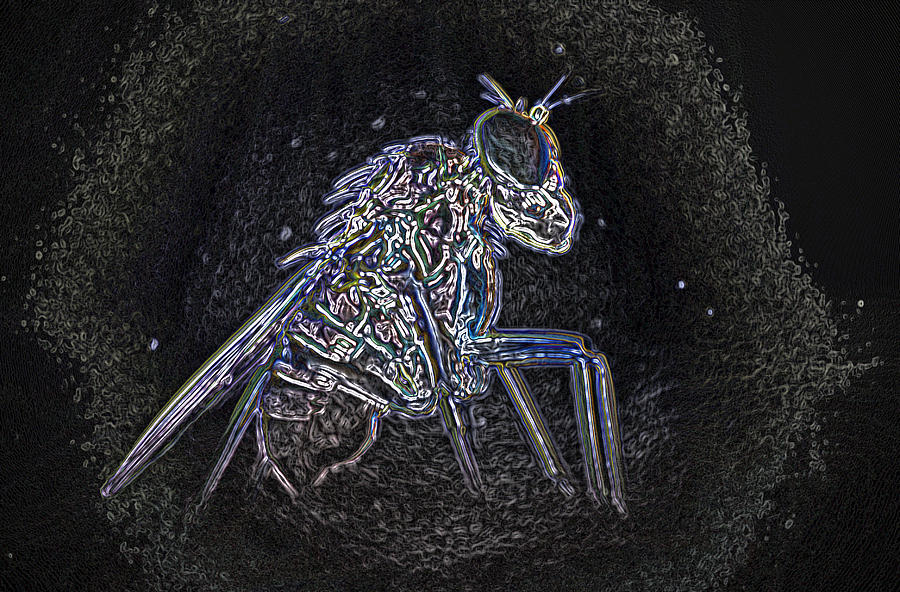 Mystery painting - Skeleton fly reels