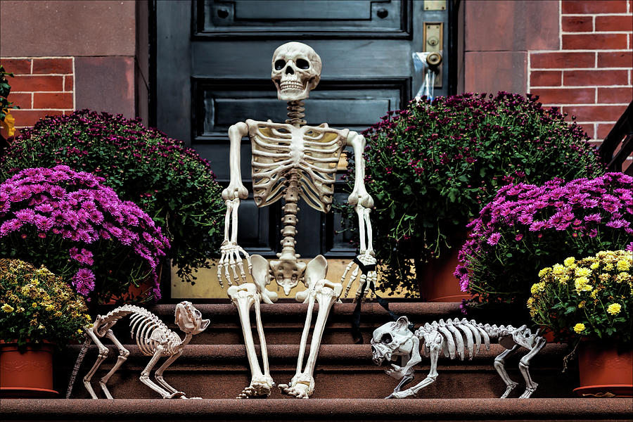 Skeleton Halloween Decorations Photograph by Robert Ullmann
